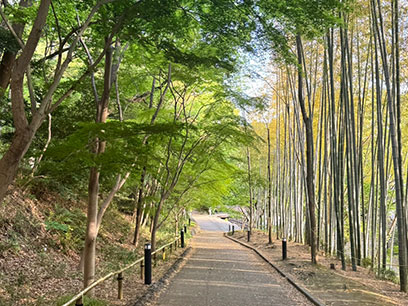 はじめての方へ